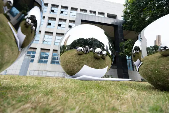 Stainless Steel Spheres