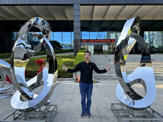 Stainless Steel Abstract Sculpture