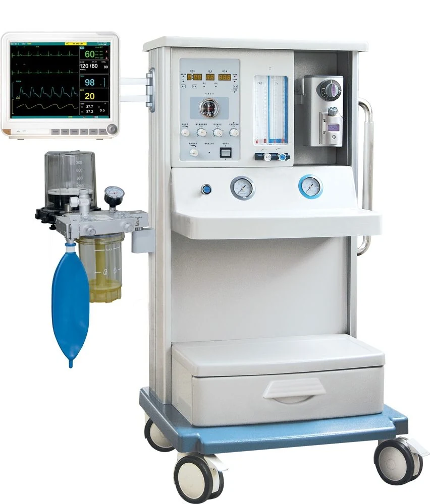 Anaesthesia machine gas flow meters and pressure gauges