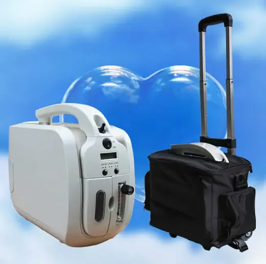 Portable oxygen concentrator with flow control panel