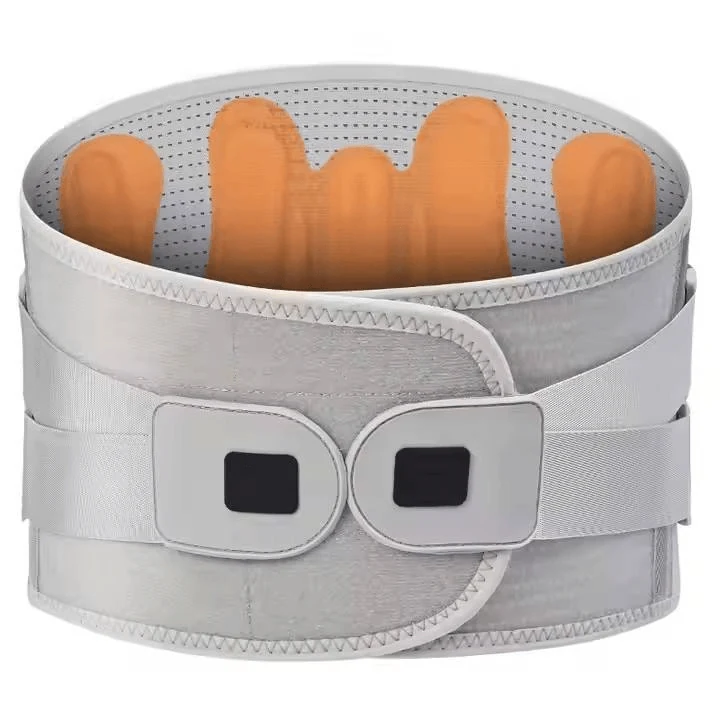 Medical Lumbar Support With Biomimetic Support Stays