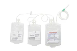 Blood collection bags packed for blood bank supply
