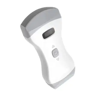 Palm ultrasound probe head and body