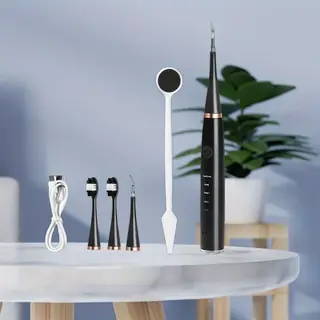 Electric toothbrush with brush heads in the retail set