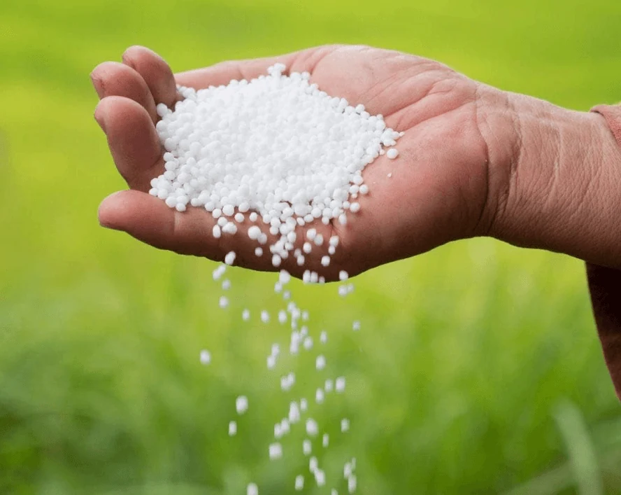 Nitrate Sop-Based NPK Compound Fertilizer powder supplied in 25 kg export bags