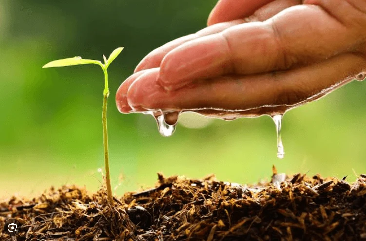Water Soluble Fertilizer(WSF) sample prepared for viscosity testing