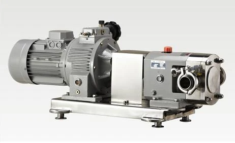 Stainless rotary lobe pump with gearbox and motor on a base frame
