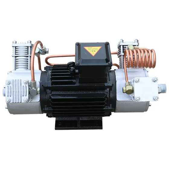 Portable SF6 Gas Compressor