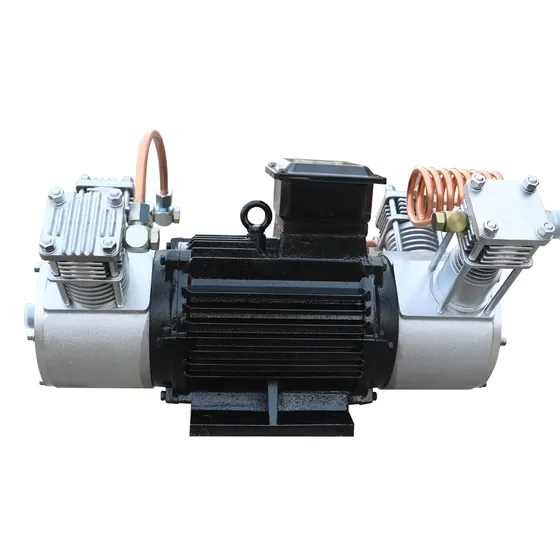 SF6 Gas Compressor, Oil — Portable Sf6 Gas Compressor 1 Card