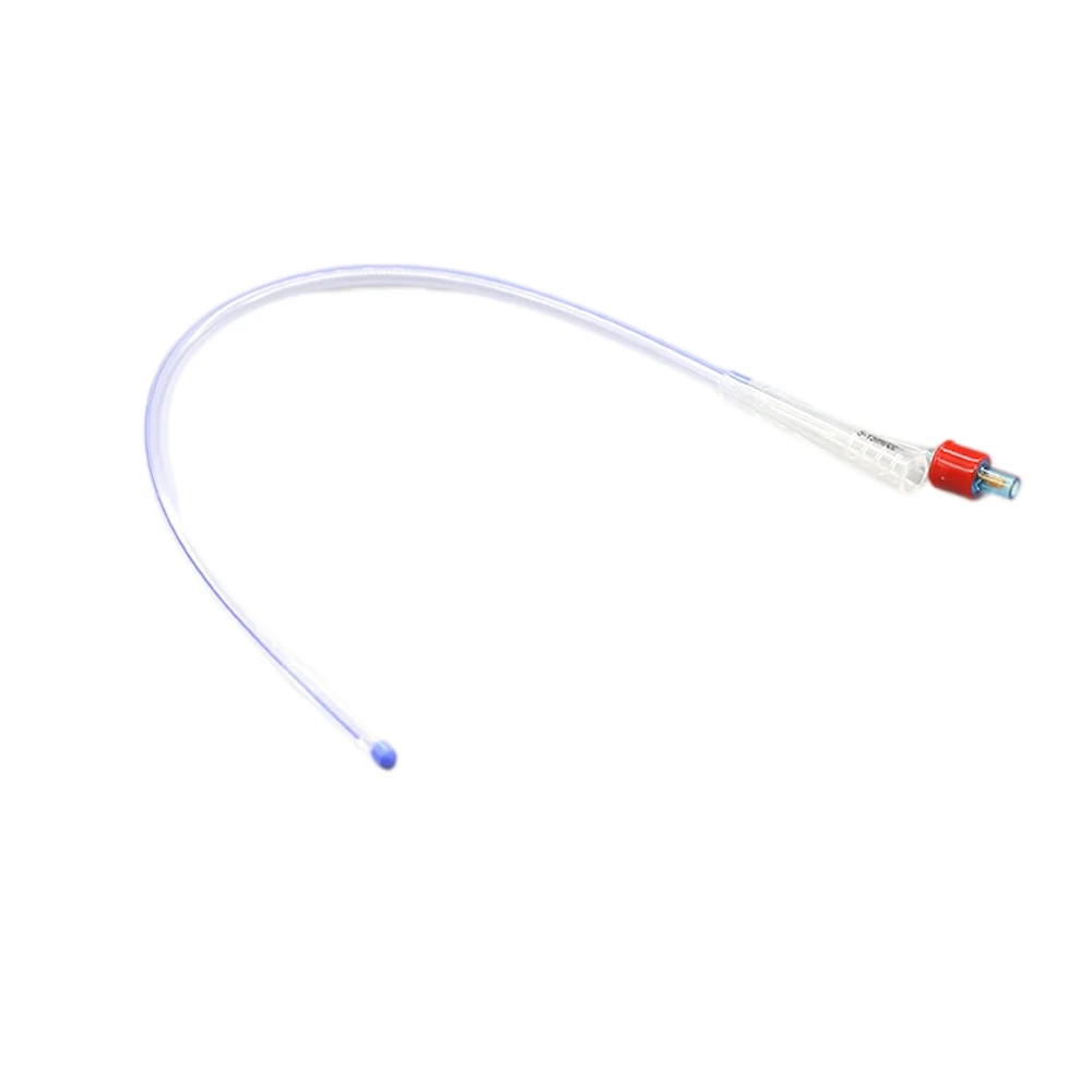 All silicone Foley catheter with inflated retention balloon