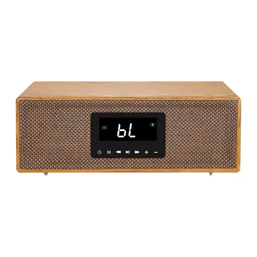 Wooden Karaoke Speaker 50W With Microphone