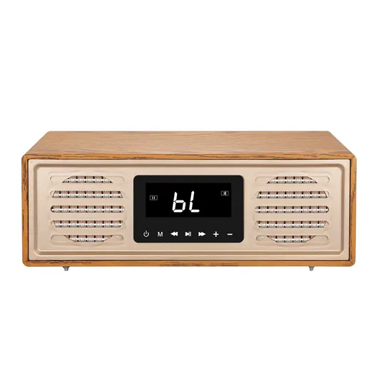 Wooden Karaoke Speaker 50W With Microphone view 3