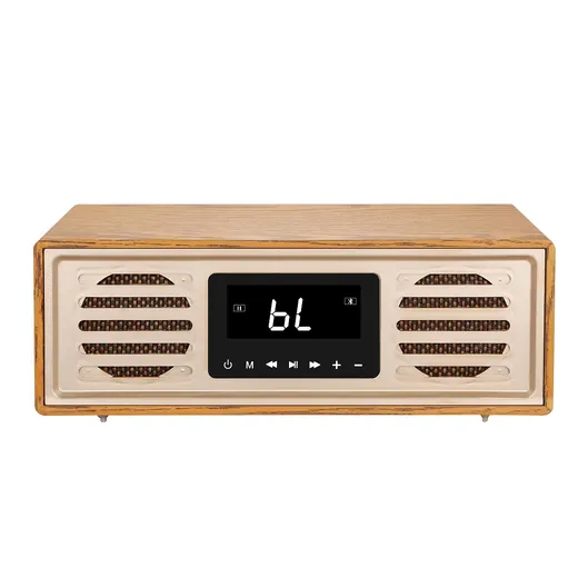 Wooden Karaoke Speaker 50W With Microphone view 4