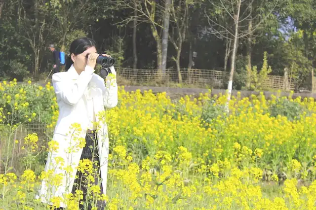 A woman in a white coat stands in a field of yellow flowers, taking a picture with a camera