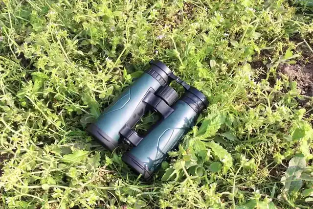 A pair of dark green binoculars resting on a patch of grass and weeds