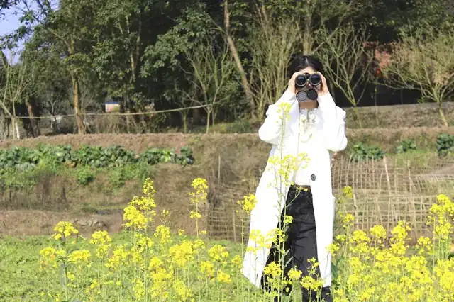 Person wearing a white coat standing in a field of yellow flowers looking through binoculars