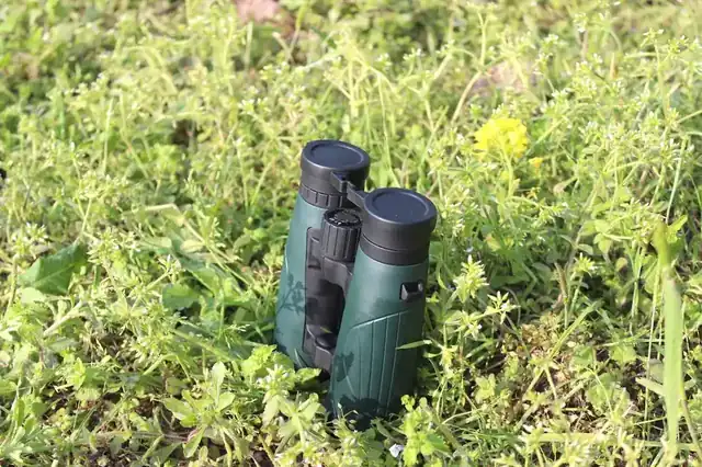 A pair of dark green binoculars standing upright in a field of grass and small wildflowers