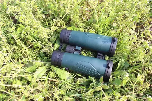 A pair of dark green binoculars lying on a patch of grass and weeds
