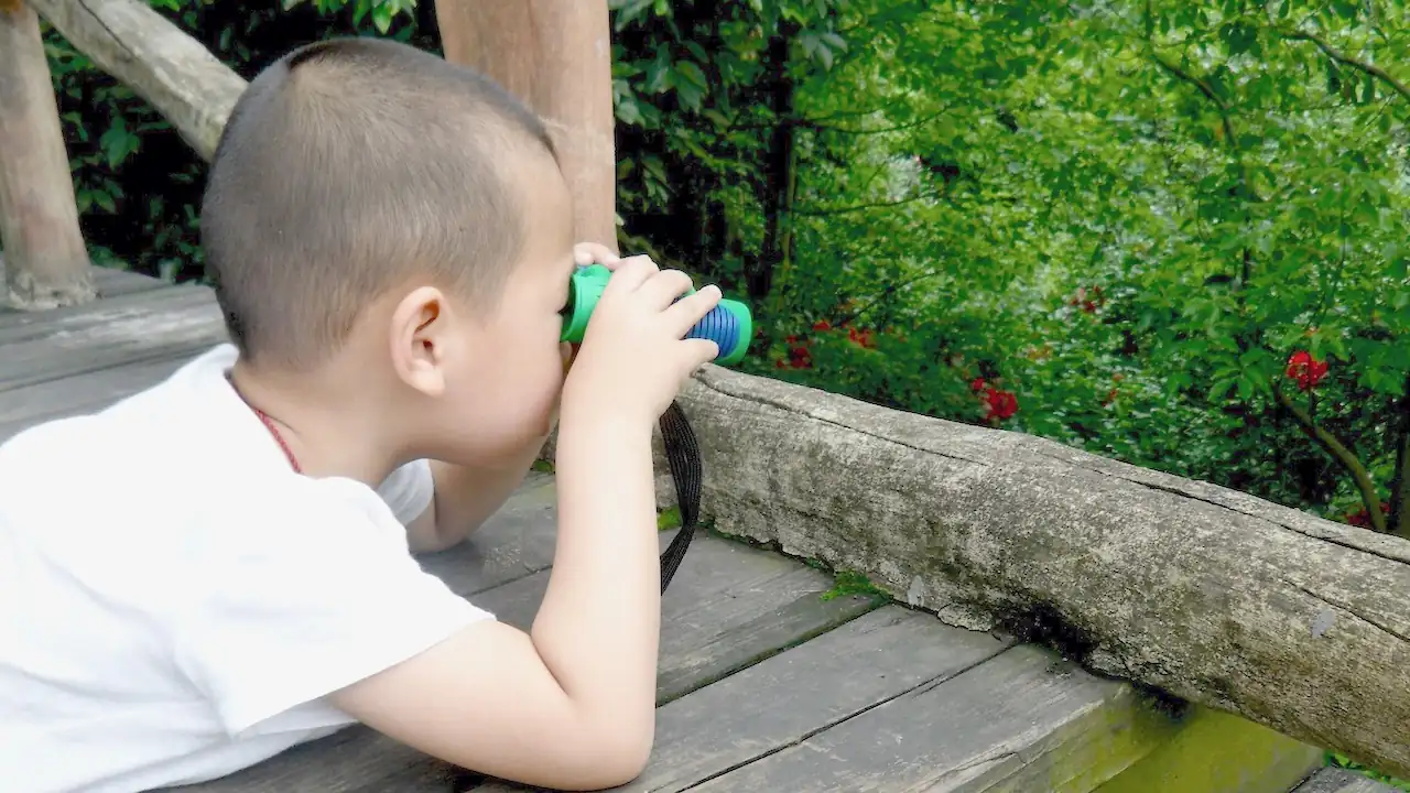 Kids Education and Toy Brands