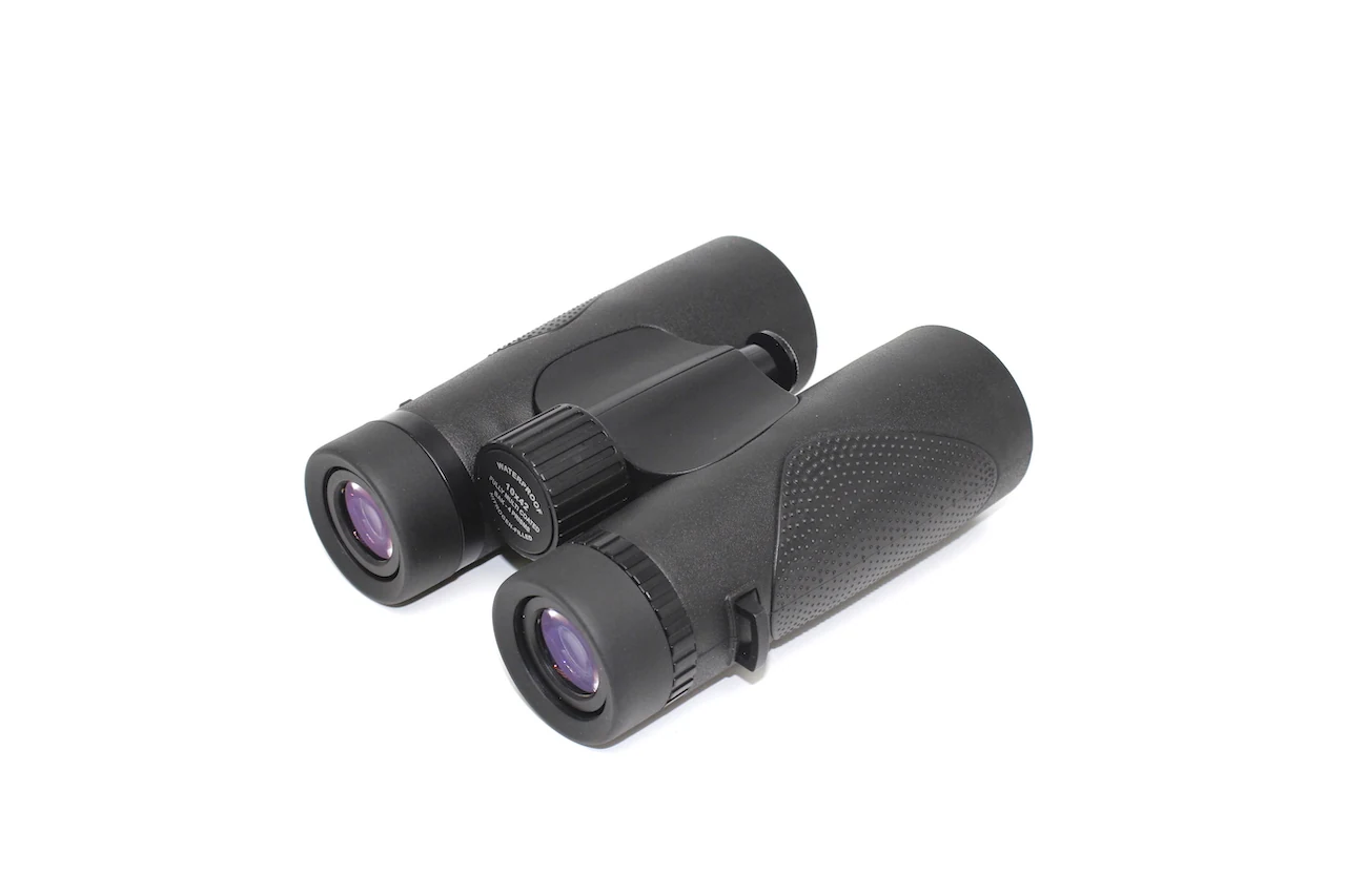 Black compact binoculars with purple-coated lenses on a white background