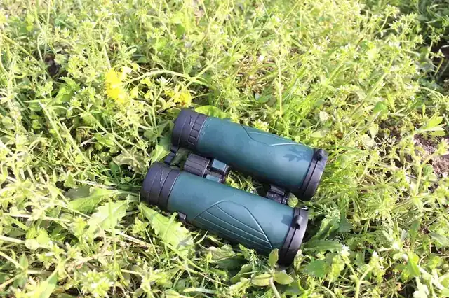 Green binoculars lying on grass and weeds