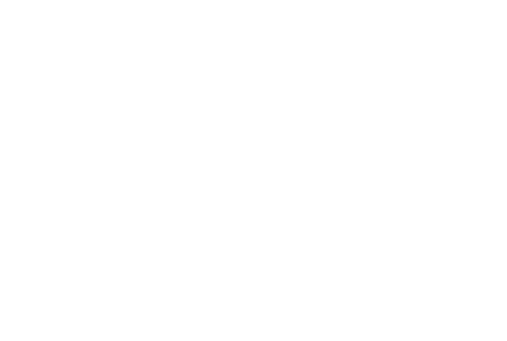 Shipu Precision logo