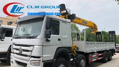 Rear view of the HOWO truck crane showing the hydraulic rear ladder and boom structure
