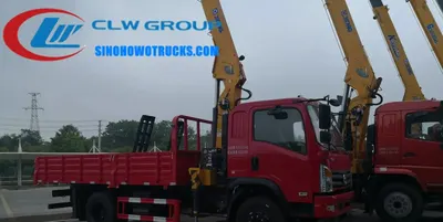 Sinotruk CDW 5 ton truck with crane in Laos, rear view showing mounted crane and cargo box