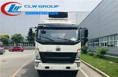 Sinotruk HOWO 10 ton freezer truck with hydraulic tail lift in custom colour, side view showing FRP+PU foam body