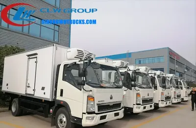 Rear view of the HOWO freezer truck with double doors and refrigeration unit mounted