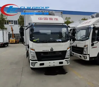 Rear view of the HOWO 5 ton reefer truck with hydraulic lifting platform and rear doors