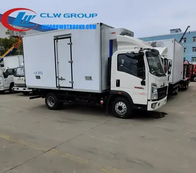 Side view of the HOWO refrigerated van with stainless steel cladding and 4x2 chassis