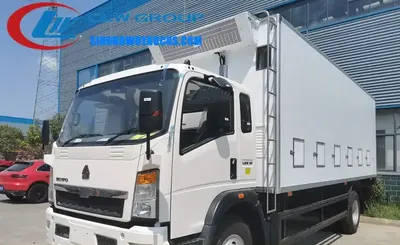 Rear view of the HOWO day old chick vehicle with refrigerated reefer unit and access door