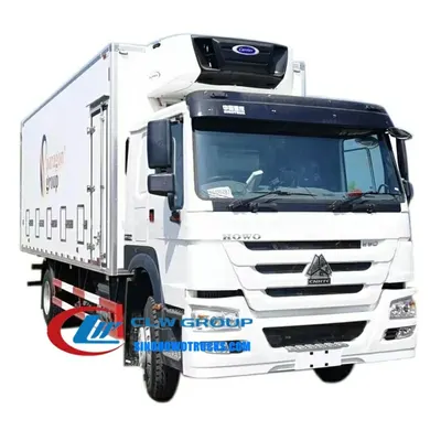Rear view of the HOWO day-old chick transport truck with FRP body and cooling unit