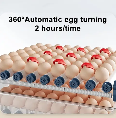 Dual Power Supply Egg Incubator view 4