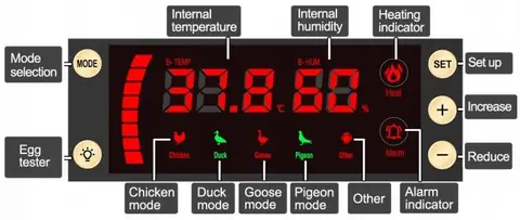 Dual Power Supply Egg Incubator view 2