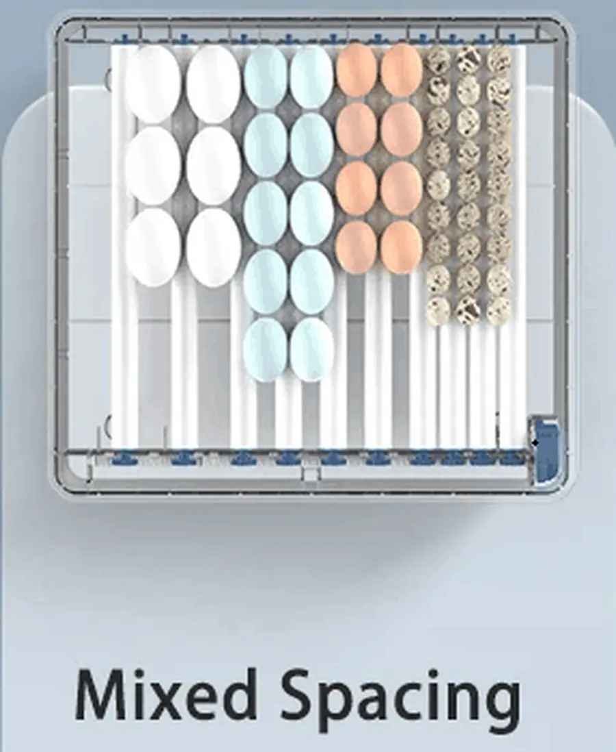 Dual Power Supply Egg Incubator view 3