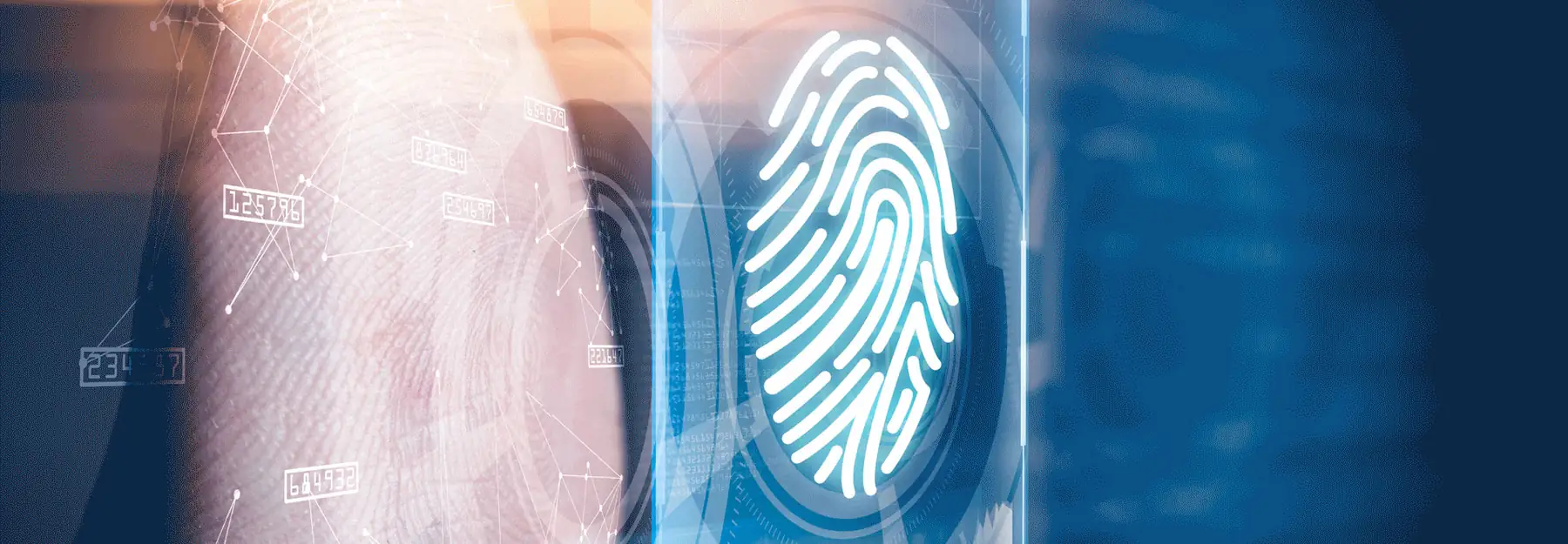 Modern Living, Maximum Security: Fingerprint Handle Locks for Smart Homes