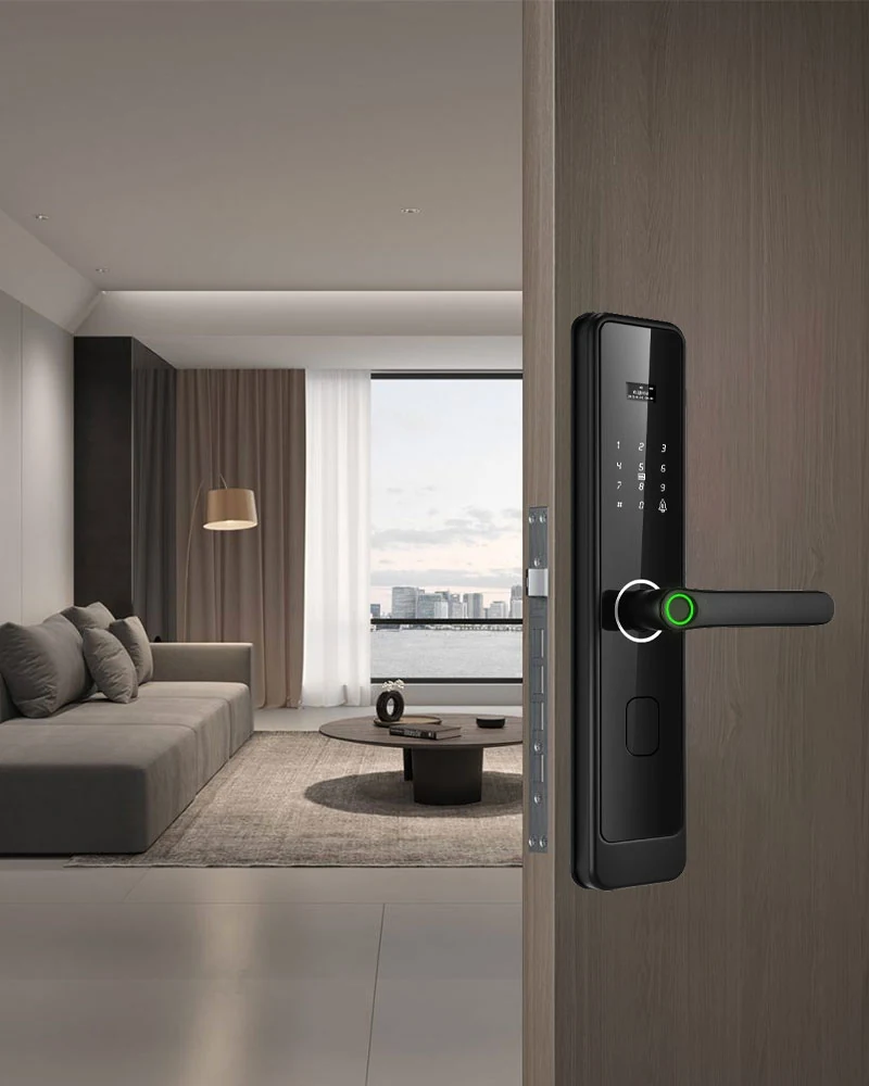 Fingerprint and Biometric Access in use