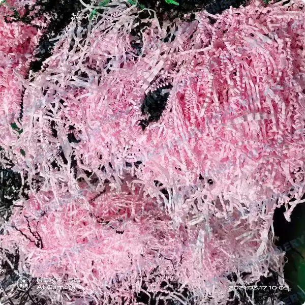 Side view of the SD-PS300 machine showing the unwinding and shredding process
