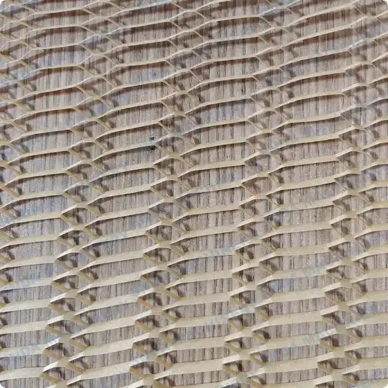 Close-up