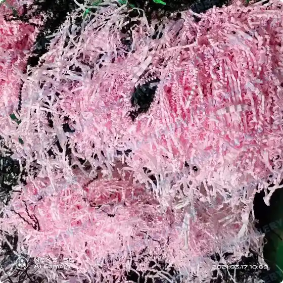 Pink shredded material against a dark background