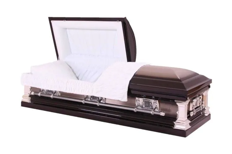 Natural Brushed Silver Finish Metal Casket with Swing Handle SGS Certification MC05 view 1