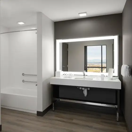 Accessible bathroom with grab rails vanity and lighted mirror package