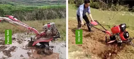 RC flail mower clearing rough undergrowth