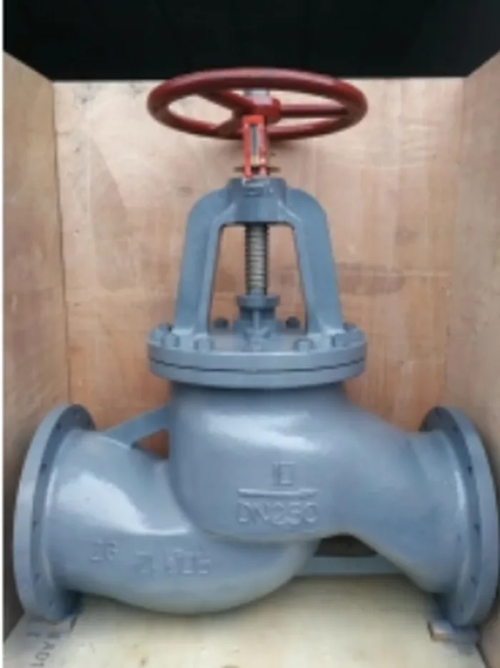 Globe Valve Straight SDNR Valve Brass/Steel/Bronze SDNR Valve Ship board Marine Stop Check Valve side view