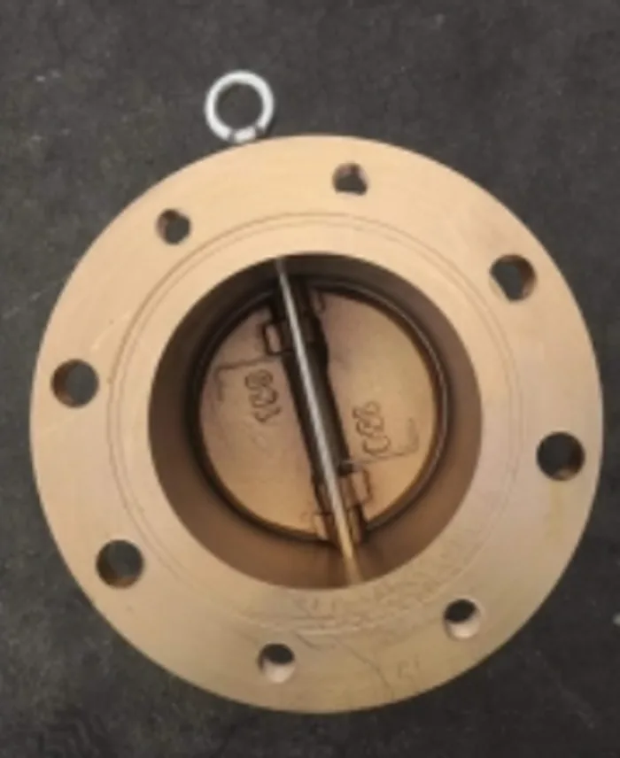 Marine wafer type check Valve No Return Valve for ship side view
