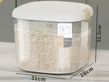 Large NC033700
