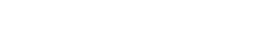 RICO GLOBAL SDN. BHD. logo