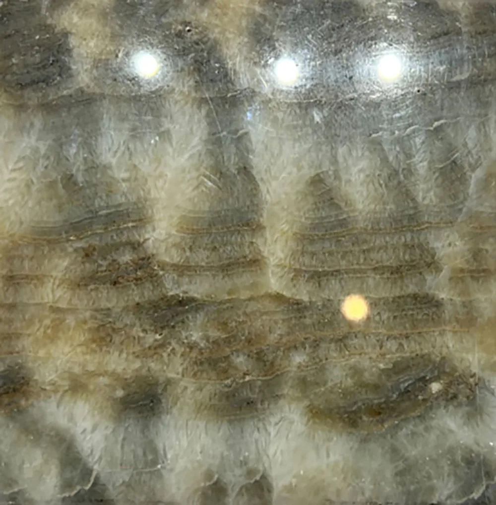Clearwater Onxy Onyx onyx from Asian Stone